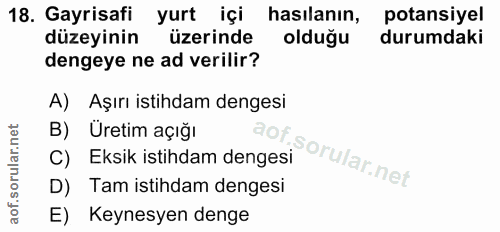 Soru 18
