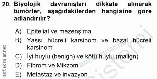 Soru 20