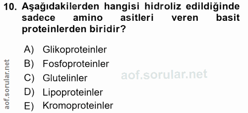 Soru 10