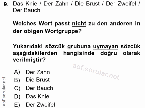 Soru 9