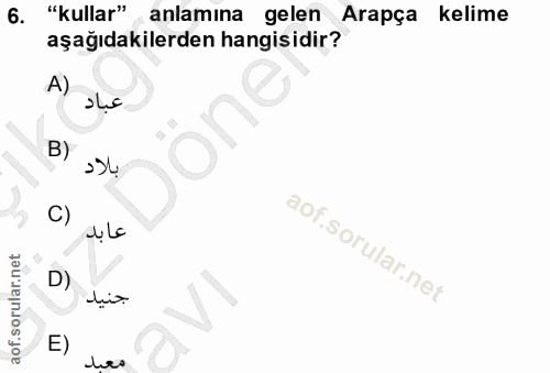 Soru 6