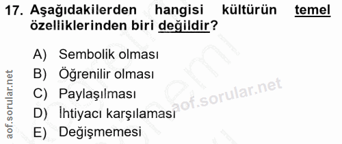 Soru 17