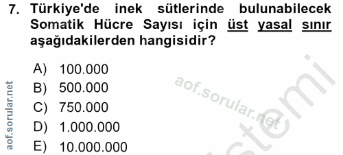 Soru 7