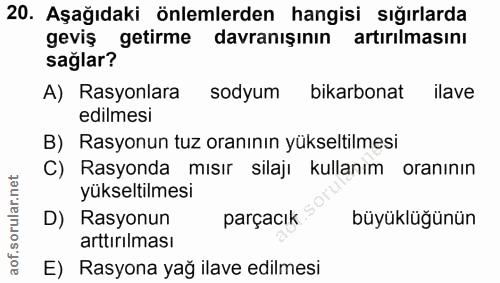 Soru 20