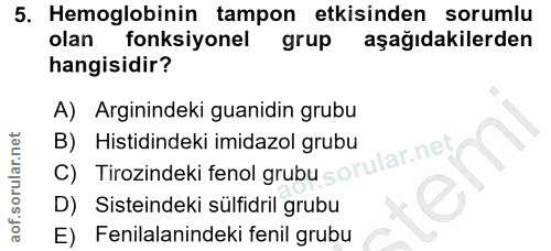 Soru 5