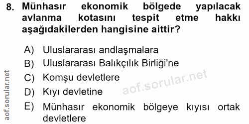 Soru 8