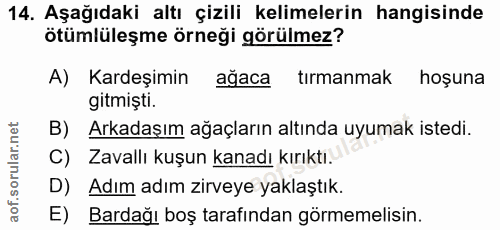 Soru 14