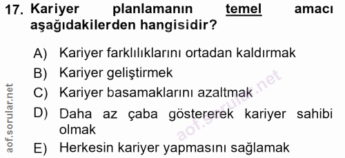 Soru 17