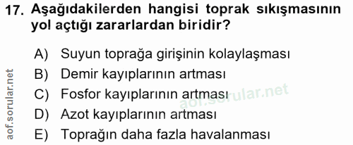 Soru 17