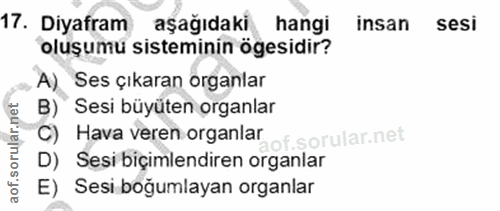 Soru 17