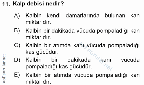 Soru 11