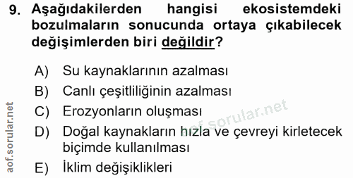 Soru 9