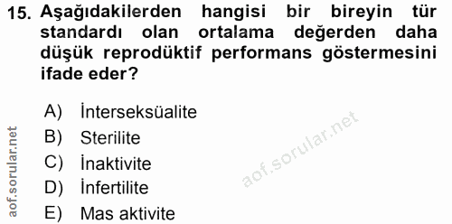 Soru 15