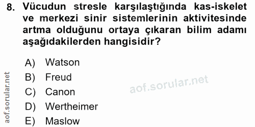 Soru 8