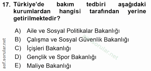 Soru 17