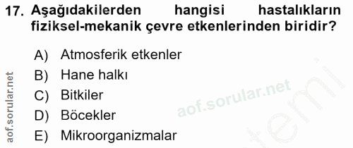 Soru 17