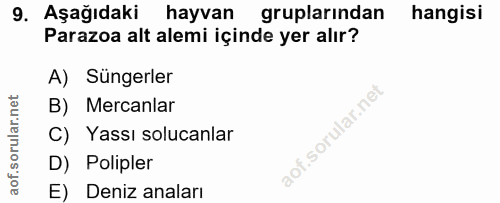 Soru 9