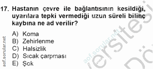 Soru 17