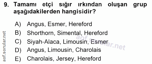Soru 9