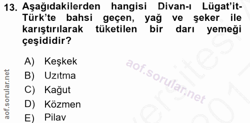Soru 13