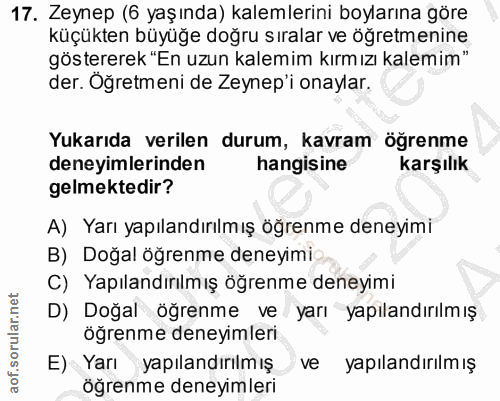 Soru 17