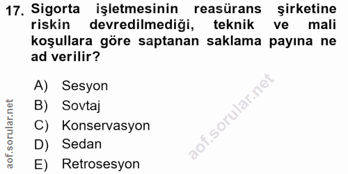 Soru 17