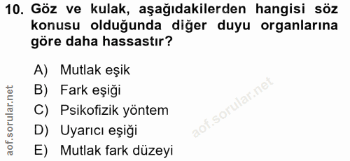 Soru 10
