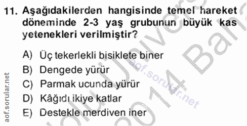 Soru 11