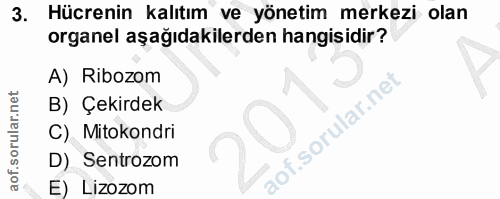 Soru 3