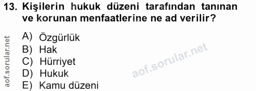 Soru 13