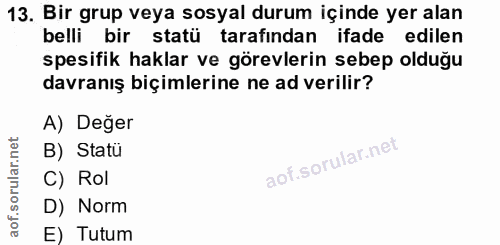 Soru 13