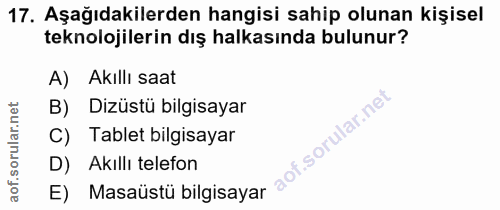 Soru 17