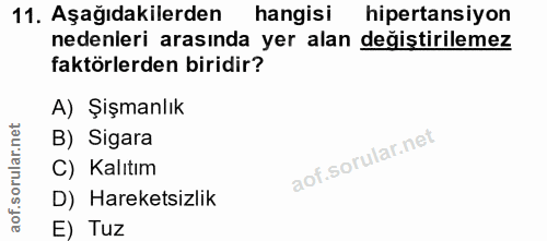 Soru 11