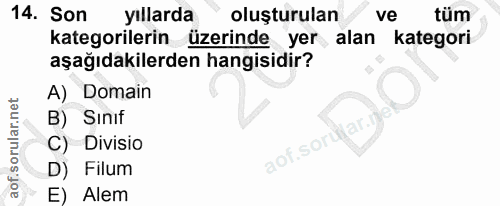 Soru 14