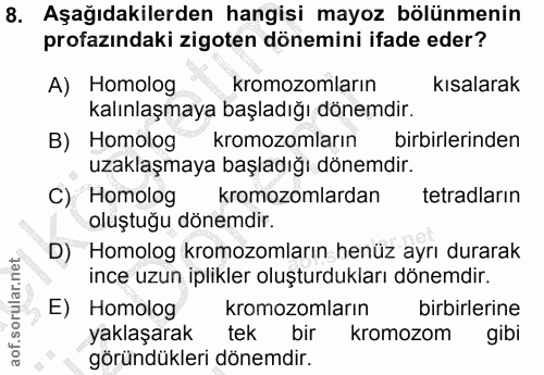 Soru 8