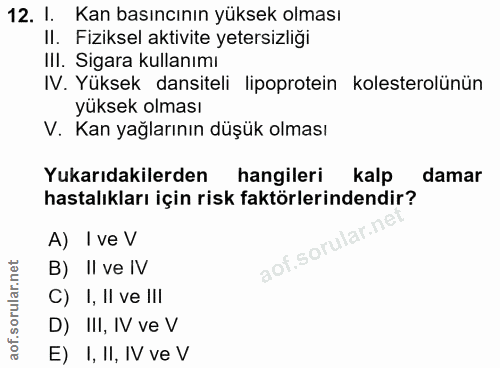Soru 12