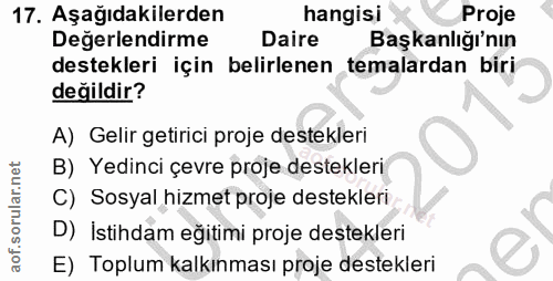 Soru 17