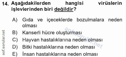 Soru 14