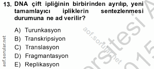 Soru 13