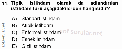 Soru 11