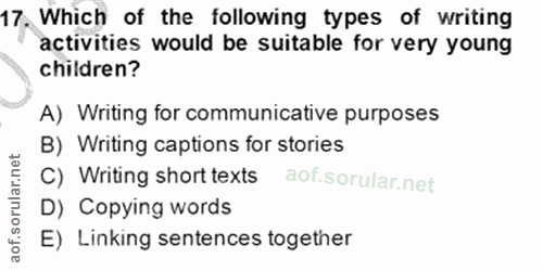 Soru 17