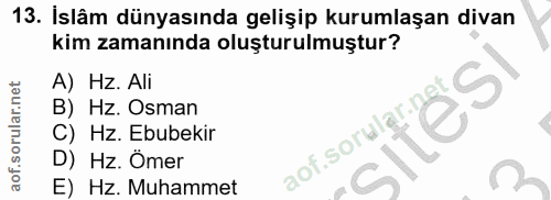 Soru 13
