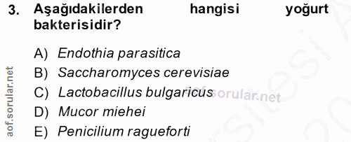 Soru 3