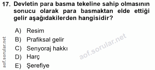 Soru 17