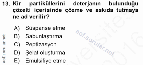 Soru 13