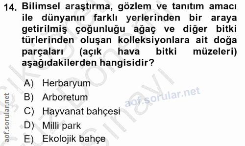 Soru 14