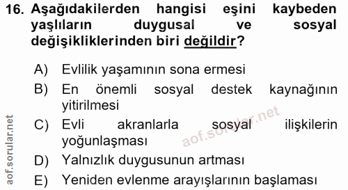 Soru 16