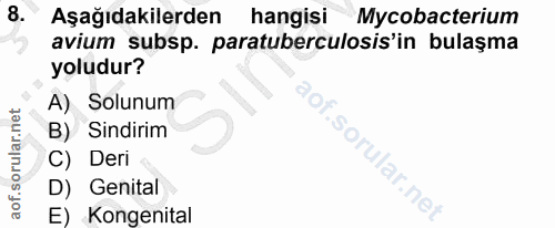 Soru 8