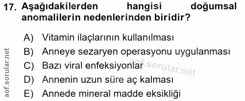 Soru 17