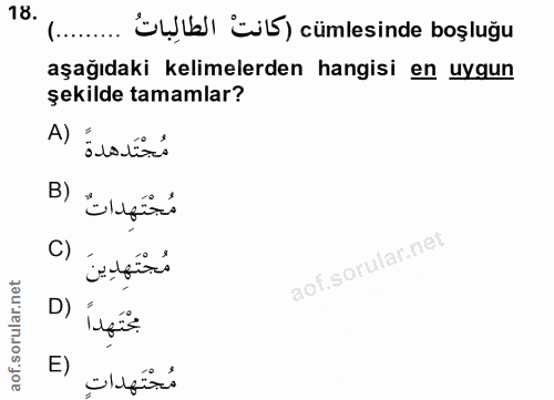 Soru 18